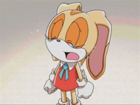 cream the rabbit crying|who made cheese from sonic.